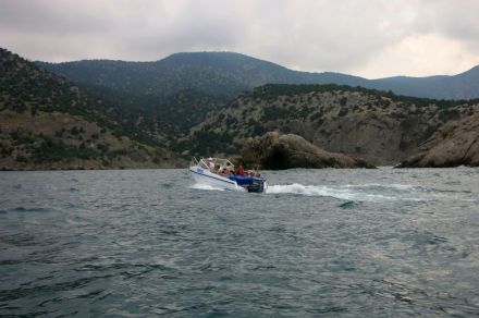 ������ ������ 2015 54