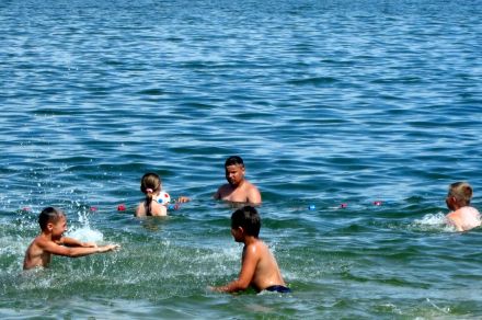 ������ ������ 2015 84