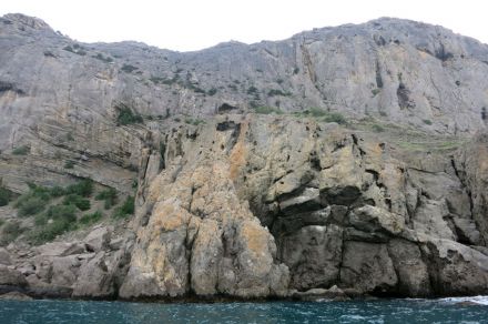 ������ ������ 2015 48